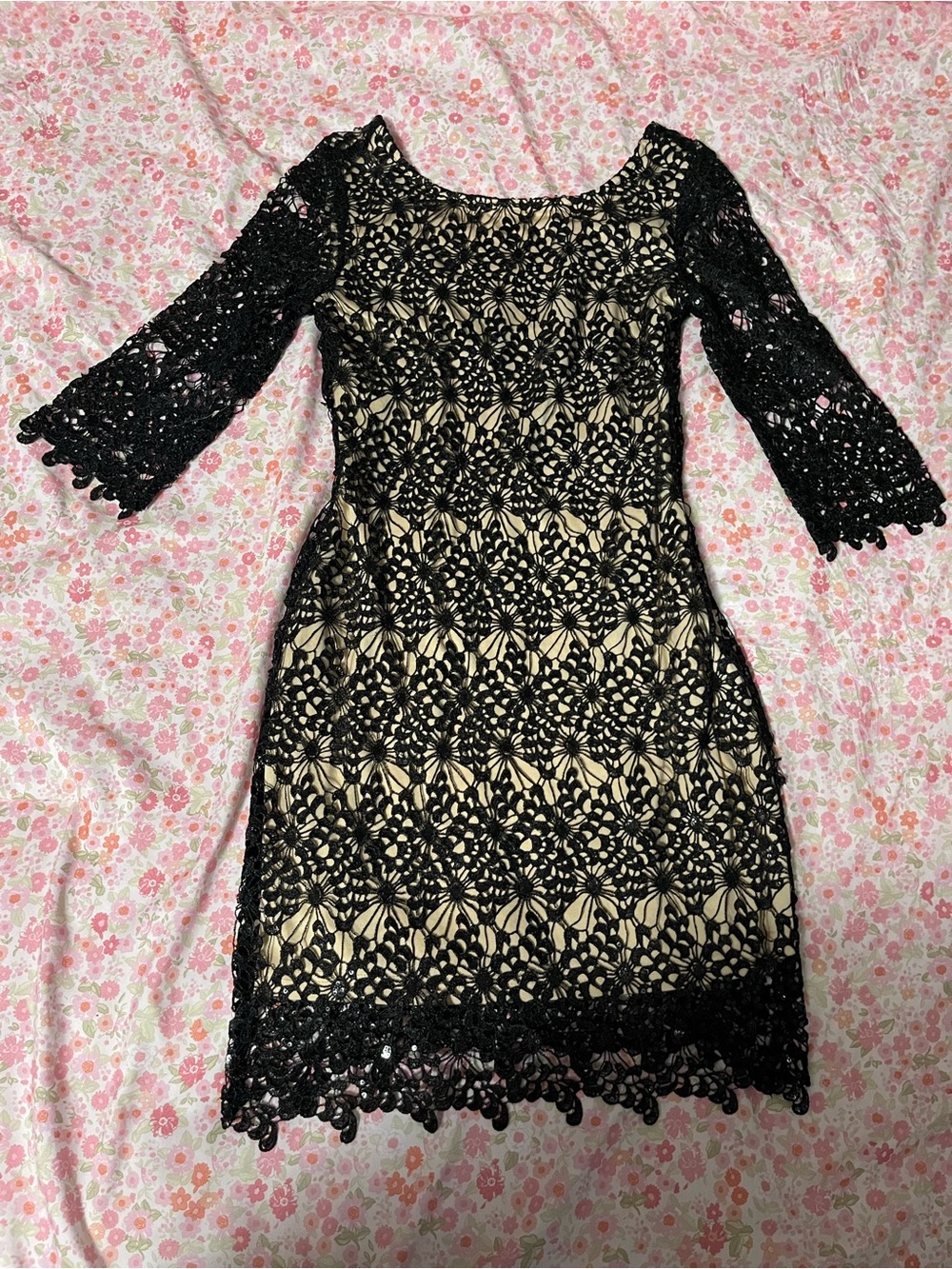 Chelsea & Violet Black Crochet Lace Dress with Nude Lining